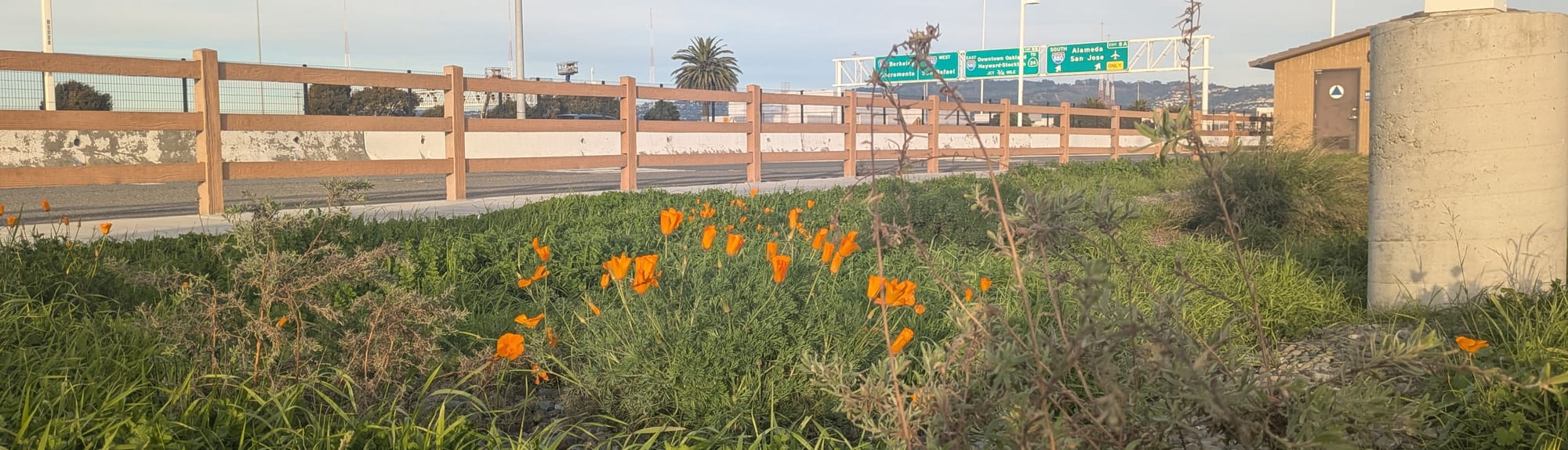 Highway and highway signs, with orange California poppies in the foreground.