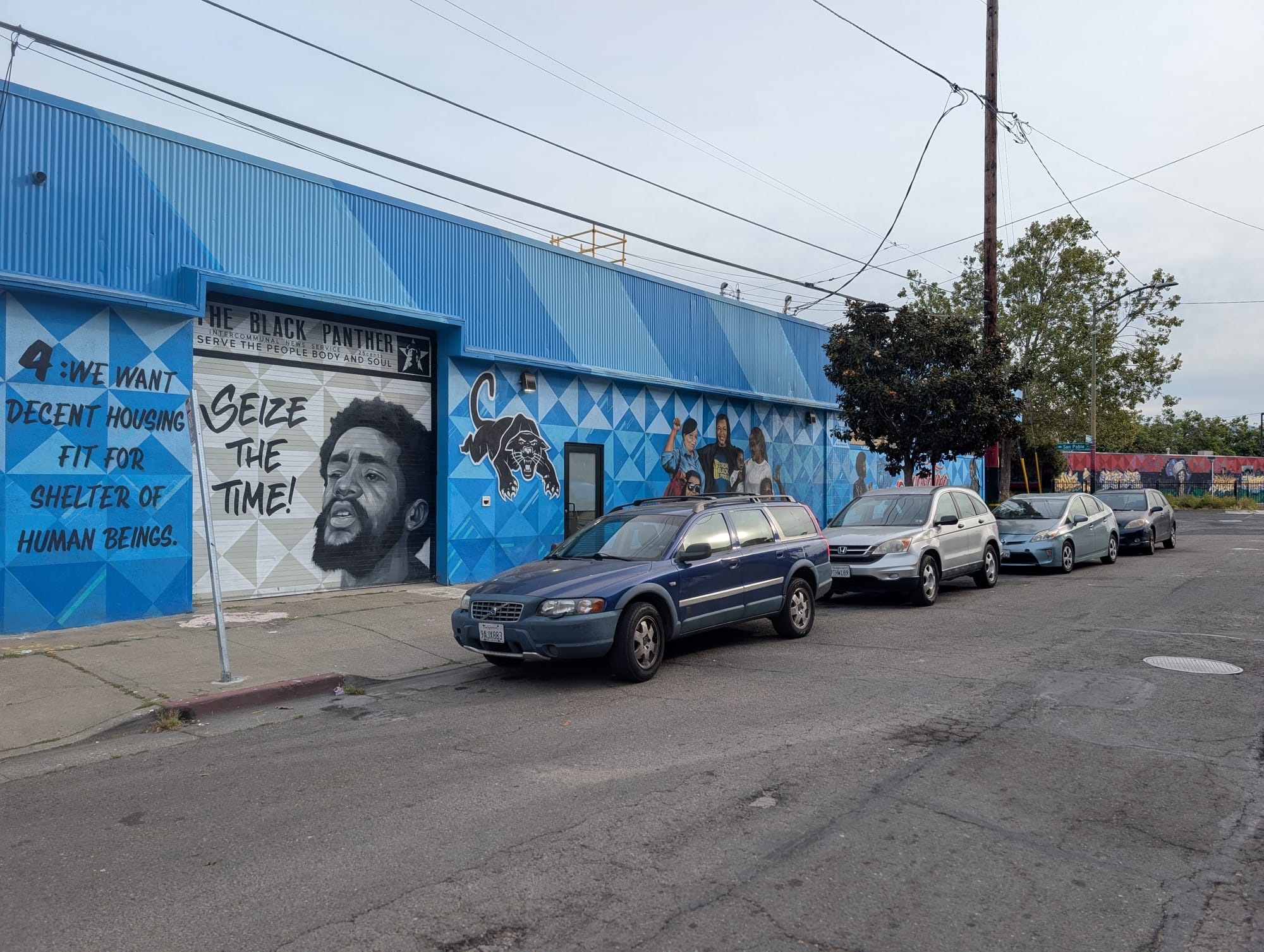 Panther mural along the side of a building. Blue backdrop. Text reads, "We want decent housing fit for shelter of human beings."