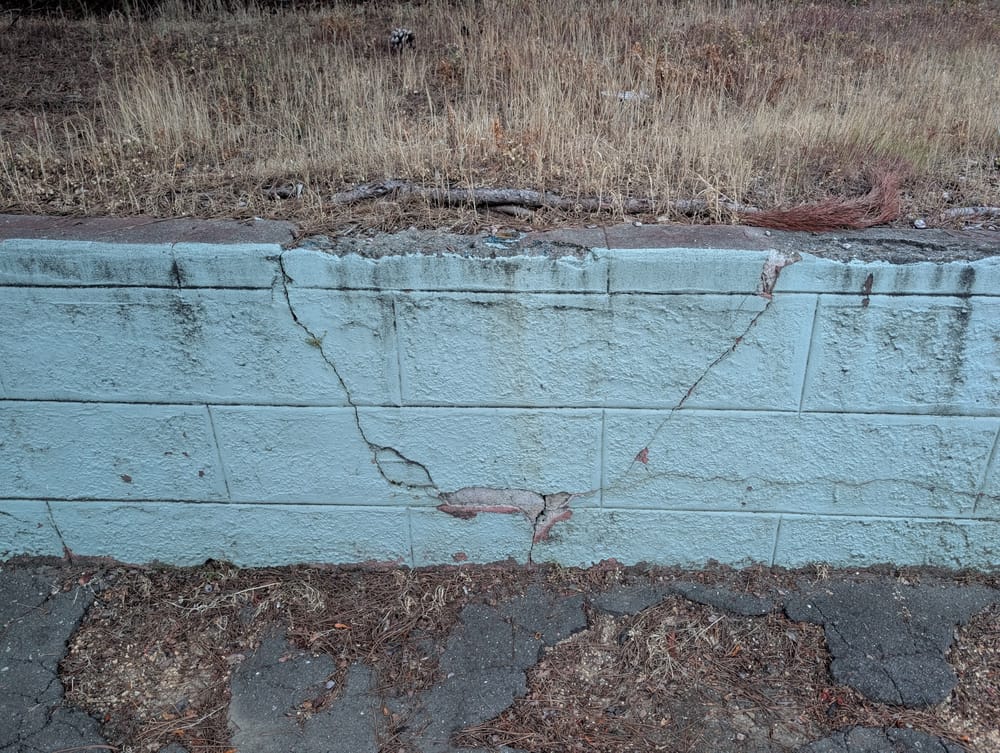 The Oakland Review of Books calendar of not just literary events