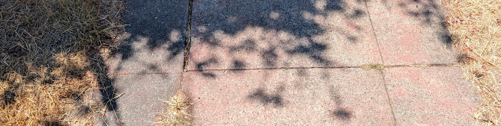 Oakland Review of Books calendar of (not just) literary events, August 5 – August 11