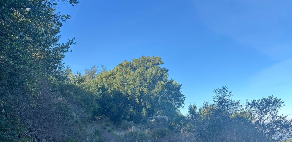 Oakland Review of Books calendar of (not just) literary events, December 9 - 14