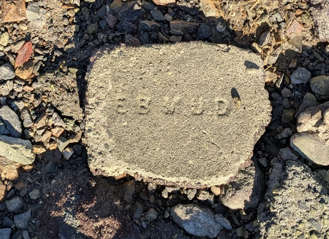 Oakland Review of Books calendar of (not just) literary events, December 30 - January 4