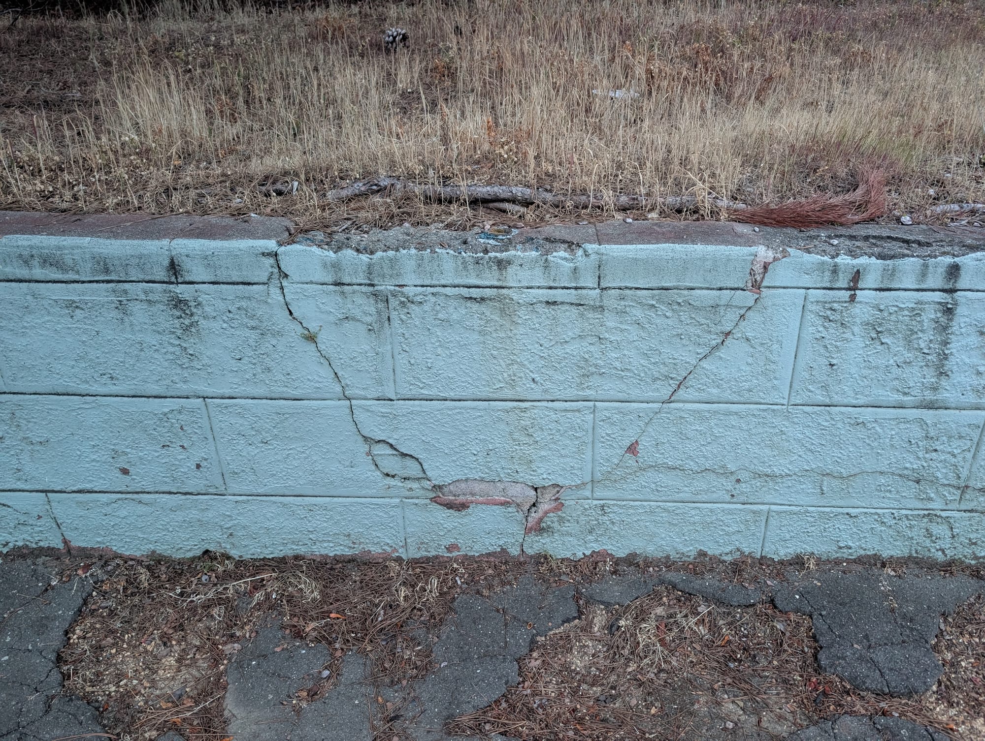 The Oakland Review of Books calendar of not just literary events