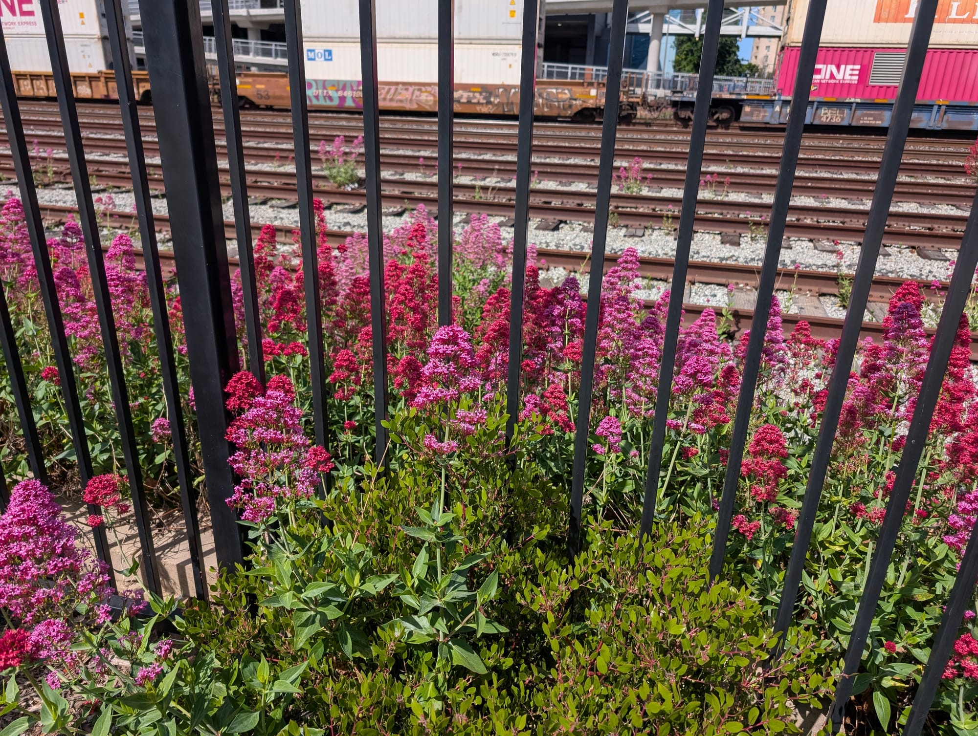 Oakland Review of Books calendar of (not just) literary events, May 13–19