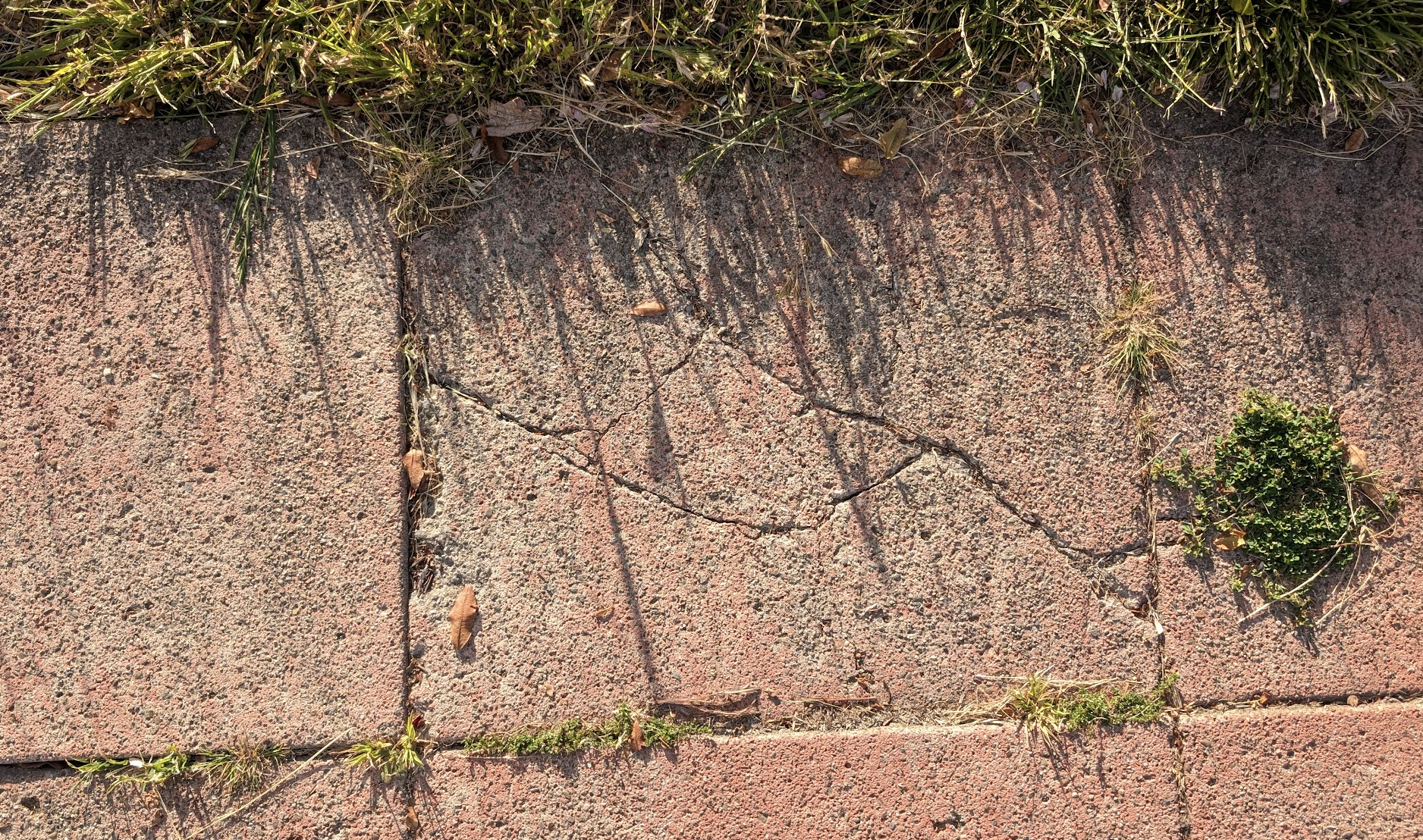 Oakland Review of Books calendar (of not just literary events), May 6–12