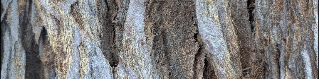 Oakland Review of Books calendar of (not just) literary events, May 20–26