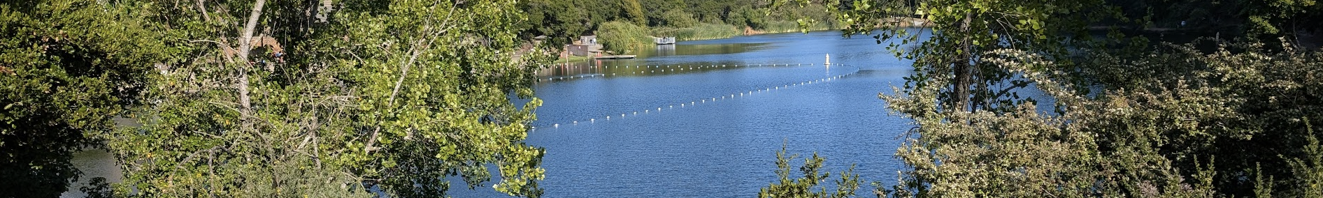 Oakland Review of Books calendar of (not just) literary events, June 17 – 22