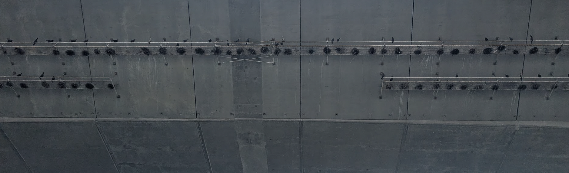 Oakland Review of Books calendar of (not just) literary events, July 22 – July 28