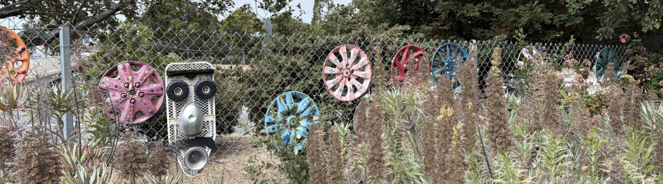 Fresh Stumps and Lost Neon