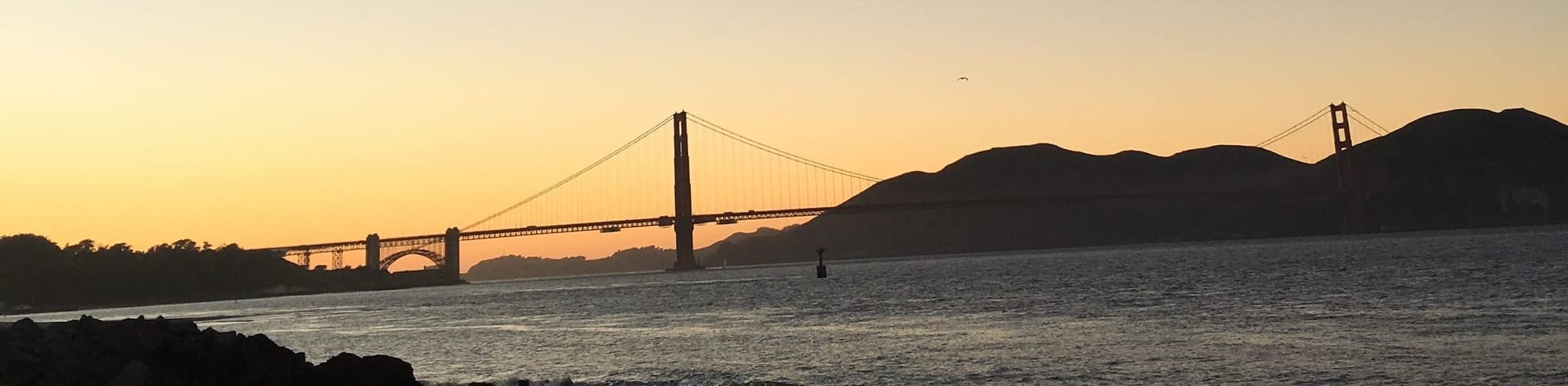 Cassandra at the Abyss