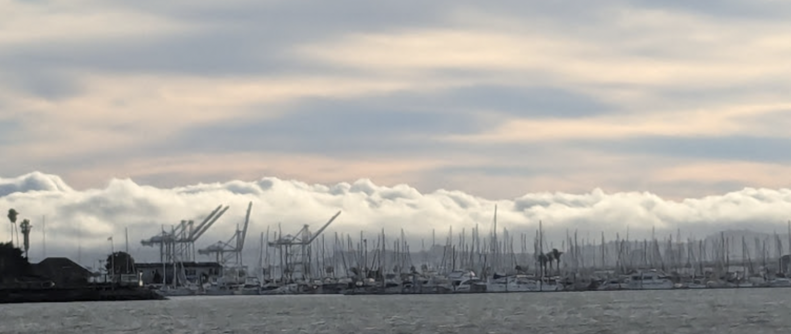 Oakland Review of Books calendar of (not just) literary events, October 28 - November 2