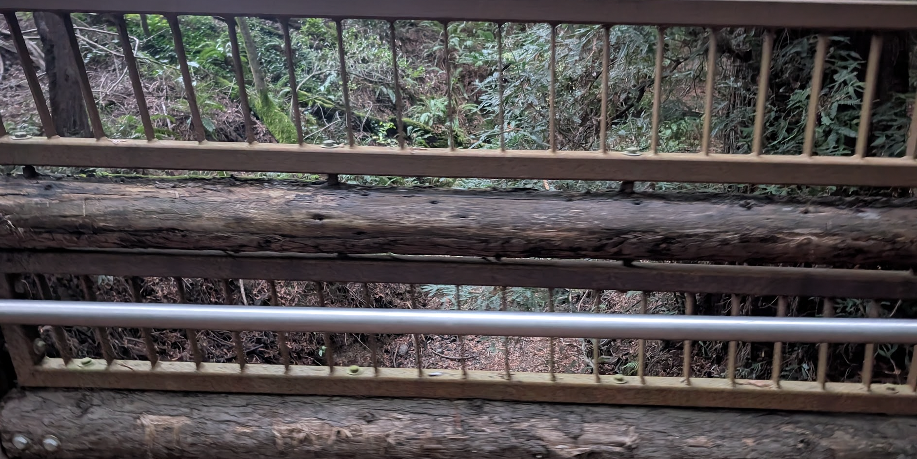 Oakland Review of Books calendar of (not just) literary events, November 11 - November 16