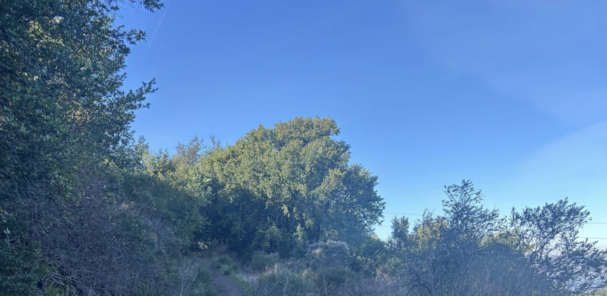 Oakland Review of Books calendar of (not just) literary events, December 9 - 14